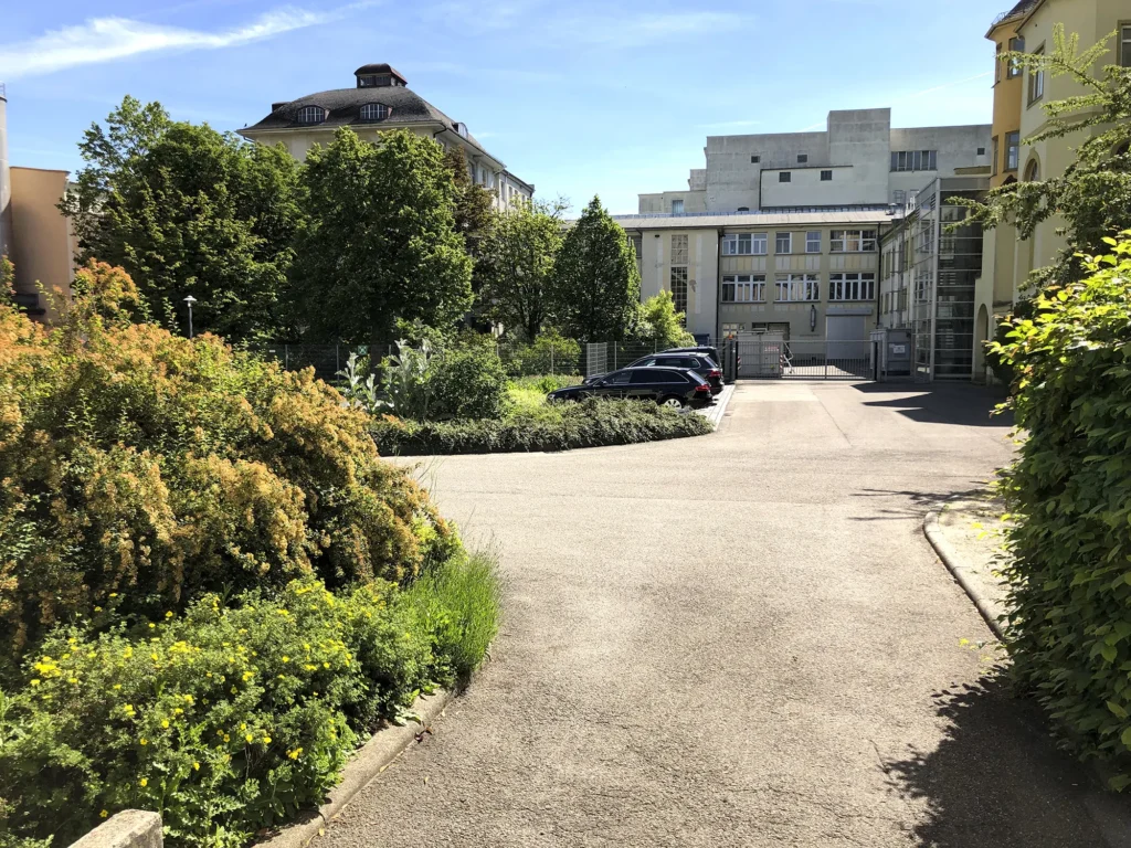 Blick auf eine gepflasterte Einfahrt mit parkenden Autos und einem geschlossenen Tor im Hintergrund, flankiert von modernen und historischen Gebäuden, umgeben von dichtem, grünen und blühenden Sträuchern, unter einem klaren blauen Himmel.