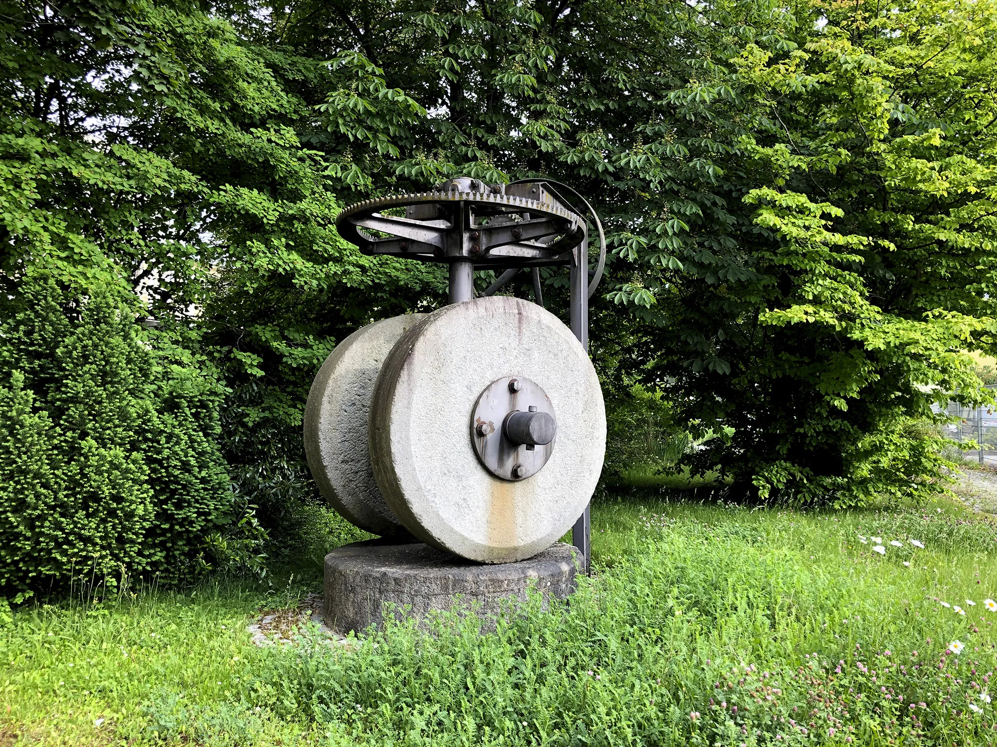 Alte industrielle Maschine aus Stein mit zwei großen, runden Mühlsteinen, montiert auf einem Sockel im Freien, umgeben von dichtem grünen Laub und Gras.