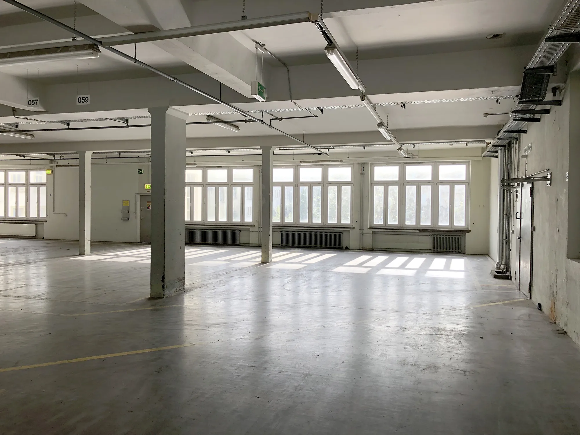 Leere Industriehalle mit großen Fenstern entlang einer Wand, weißen Stützpfeilern, grauem Betonboden und Deckenbeleuchtung, durchflutet von Tageslicht.